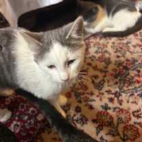 Thumbnail photo of Jordan in Baltimore, MD #3