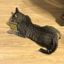 Thumbnail photo of Flower #3