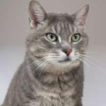 Thumbnail photo of George #1