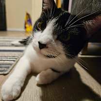 Thumbnail photo of Miro #1