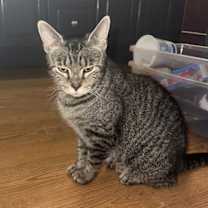 Thumbnail photo of Sally #2