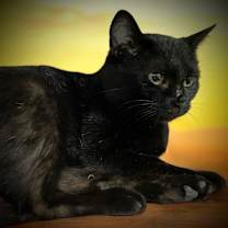 Thumbnail photo of Emily #4