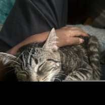 Thumbnail photo of Bella XXVI (New Digs) #1