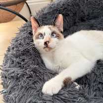 Thumbnail photo of Midnight #1