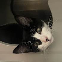 Thumbnail photo of Kenan #2