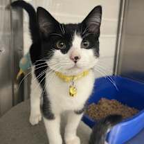 Thumbnail photo of Kenan #3