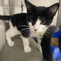 Thumbnail photo of Kenan #4