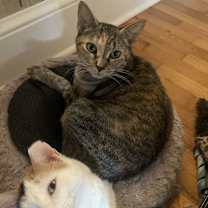 Thumbnail photo of Moma Mona #2