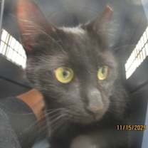 Thumbnail photo of Micah (696) #2