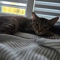 Thumbnail photo of Mabel #3