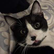 Thumbnail photo of Jim and Dwight #1