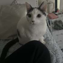 Thumbnail photo of Jim and Dwight #2