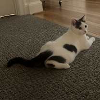 Thumbnail photo of Jim and Dwight #3