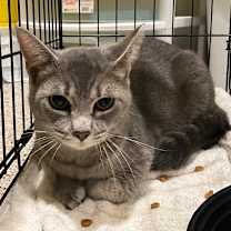 Thumbnail photo of Crunch #1