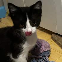 Thumbnail photo of Buster #2