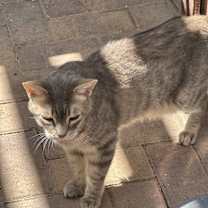 Thumbnail photo of Casey #1