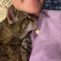 Thumbnail photo of Meow Meow #2