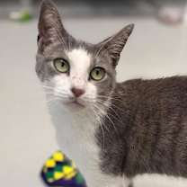 Thumbnail photo of Zoey #2