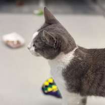 Thumbnail photo of Zoey #3