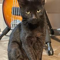 Thumbnail photo of Sydney  #2