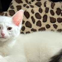 Thumbnail photo of Finley #1