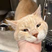 Thumbnail photo of Thomas O'Malley #2