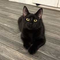 Thumbnail photo of Click #3