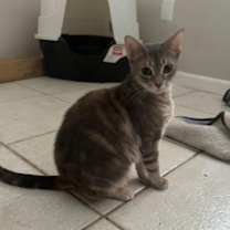 Thumbnail photo of Wanda #1