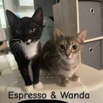 Thumbnail photo of Wanda #3