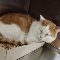 Thumbnail photo of Cubby 45520 #2