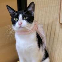 Thumbnail photo of Selina #3