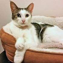 Thumbnail photo of Frannie #1