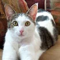 Thumbnail photo of Frannie #2