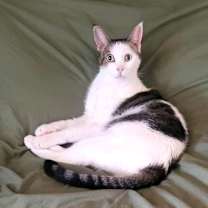 Thumbnail photo of Frannie #3