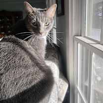 Thumbnail photo of Stitch #1