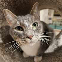 Thumbnail photo of Stitch #2