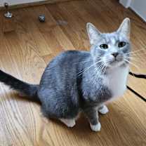 Thumbnail photo of Stitch #3