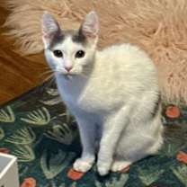 Thumbnail photo of Yasmin #1