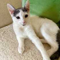 Thumbnail photo of Yasmin #2