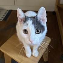 Thumbnail photo of Yesenia #1