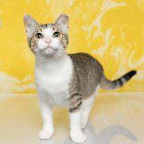 Thumbnail photo of Emily #1