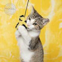 Thumbnail photo of Emily #2