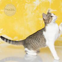 Thumbnail photo of Emily #3