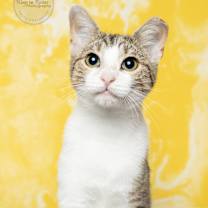 Thumbnail photo of Emily #4