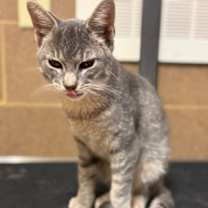 Thumbnail photo of Marine #2