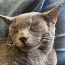 Thumbnail photo of magic #1