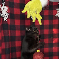 Thumbnail photo of Jacques #3