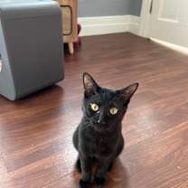 Thumbnail photo of Jacques #4