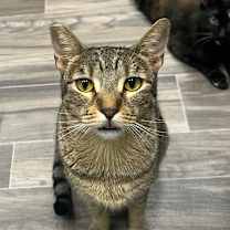 Thumbnail photo of Amy #1