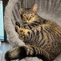 Thumbnail photo of Amy #3